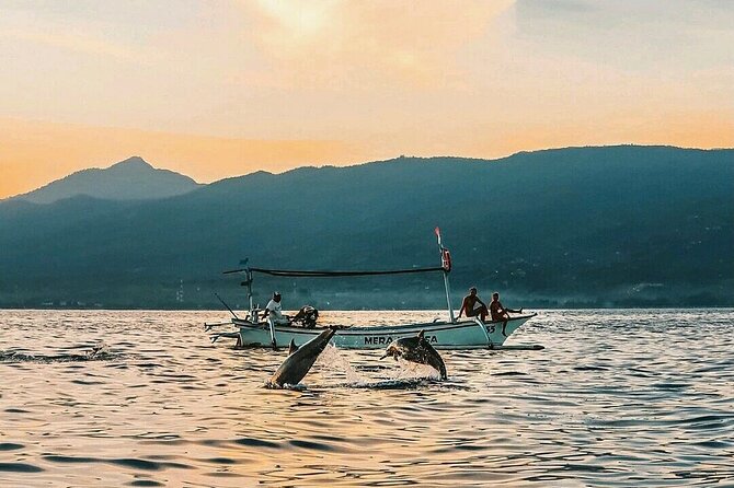 All inclusive Lovina Dolphins Sunrise tour, Waterfall & Temple - The long drive, private vehicle, and daily rhythm
