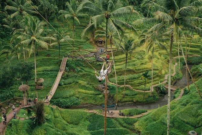 All inclusive Private 3 day tours package : Bali highlights - Day two: coast, lake temple, and Banyumala Waterfalls