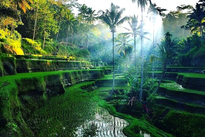 [All Inclusive] The Soul of Bali: Temples, Art & Traditions Tour - Goa Gajah: an 11th-century temple site