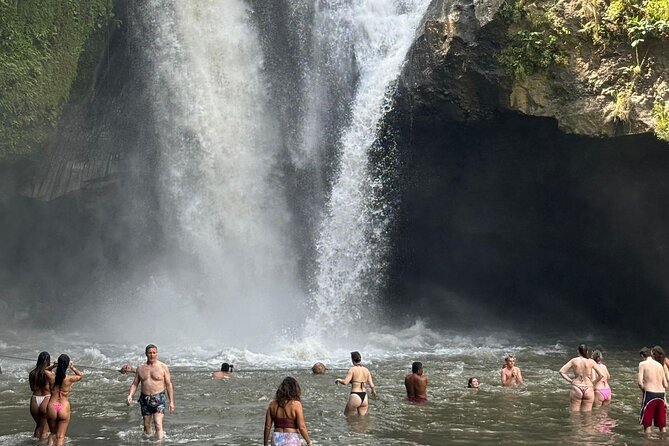 All Inclusive Ubud Cultural and Natural Highlights Tour - Tirta Empul and Bali’s sacred springs