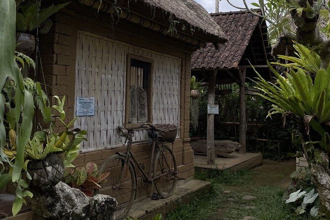 All Inclusive Ubud Cultural and Natural Highlights Tour - What the $75 price is really buying