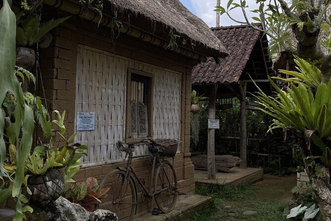 All Inclusive Ubud Cultural and Natural Highlights Tour - Meeting macaques at Monkey Forest