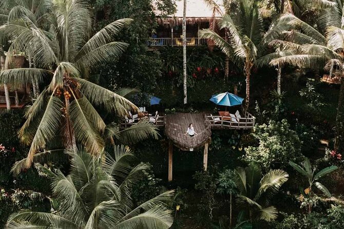 All-Inclusive Ubud Private Tour - Reading the rice fields at Tegalalang