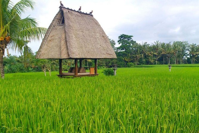 All-Inclusive Ubud Private Tour - Ending at Tegenungan Waterfall