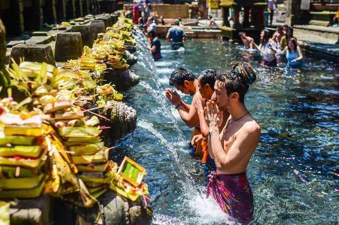 All-Inclusive Ubud Private Tour - What the private car and guide add