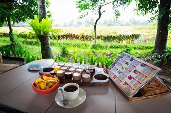 All Inclusives Bali Private Tour Temples Palaces and Nature - A long day with a useful early-start strategy
