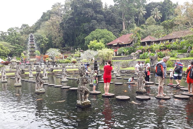 Amazing 4 Day Bali Tour Packages - Day 1: Ubud villages, coffee, rice terraces, and a waterfall