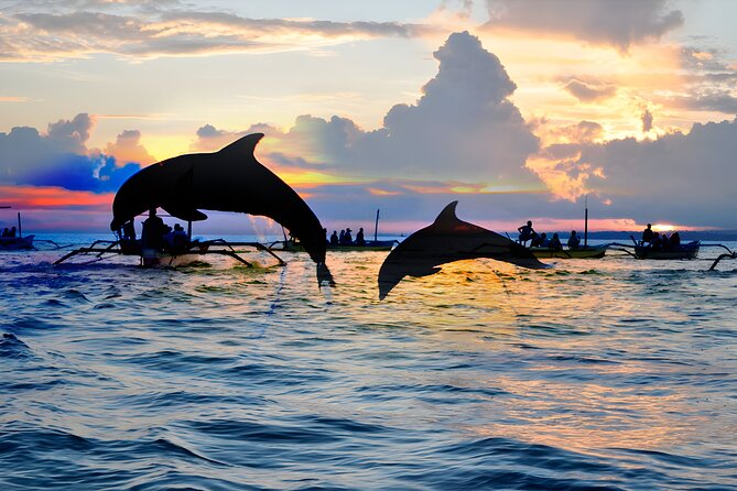 Amazing Bali Dolphin Watching Trip Experience - What the dolphin crowd means for the experience