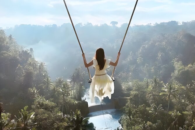 Amazing Bali Swing Experience with Ubud Full Day Tour - The private vehicle and driver make the difference
