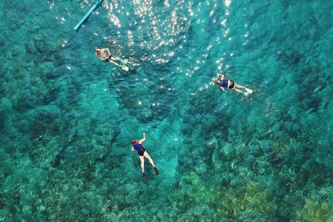 Amazing Blue Lagoon Snorkeling with Private Hotel Transfer - Guide Service and the Human Side of the Trip