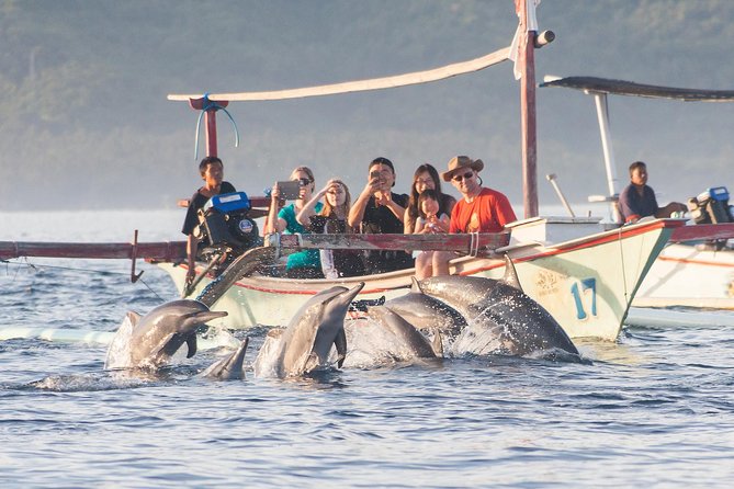 Amazing Private Tours: Dolphins Lovina and Gitgit Waterfall include Lunch - Lovina at sunrise is the reason to set the alarm