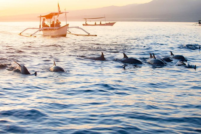 Amazing Private Tours: Dolphins Lovina and Gitgit Waterfall include Lunch - What the private tour changes