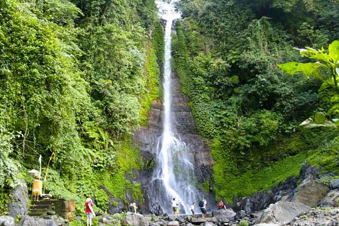 Amazing Private Tours: Dolphins Lovina and Gitgit Waterfall include Lunch - Is $78.50 good value?
