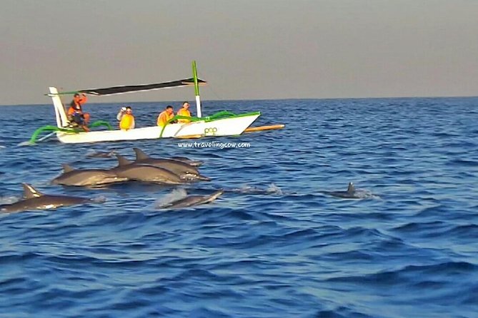 Amazing Private Tours: Dolphins Lovina and Gitgit Waterfall include Lunch - What the guide service adds