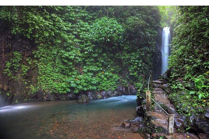 Amazing Private Tours: Dolphins Lovina and Gitgit Waterfall include Lunch - Ulun Danu Beratan Temple adds the cultural stop