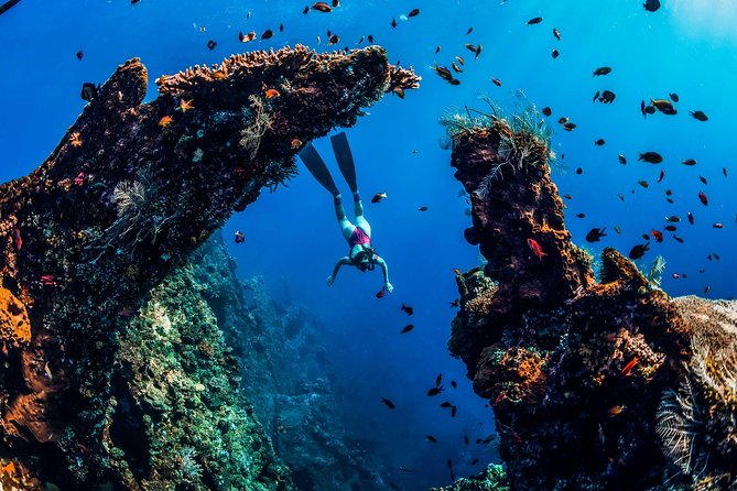 Amed Bali Snorkelling: Japanese Shipwreck & Vienna Beach Tour - What the guides add to the day
