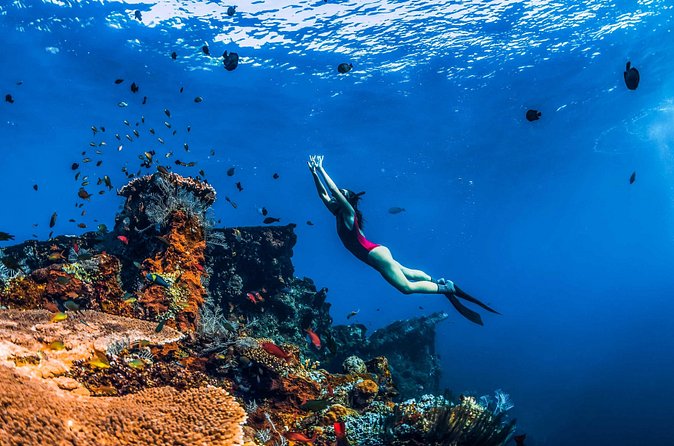 Amed Bali Snorkelling: Japanese Shipwreck & Vienna Beach Tour - What to bring and how to prepare