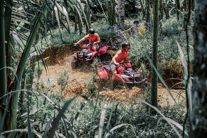 ATV Quad Bike Bali with Waterfall Gorilla Cave and Lunch - Is $32.38 good value?