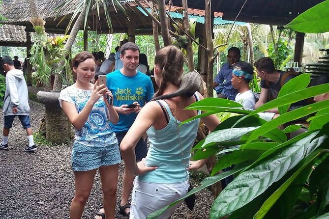 ATV Quad Bike with Kintamani Volcano Tour - All Inclusive - Tegalalang Rice Terrace for a calmer finish