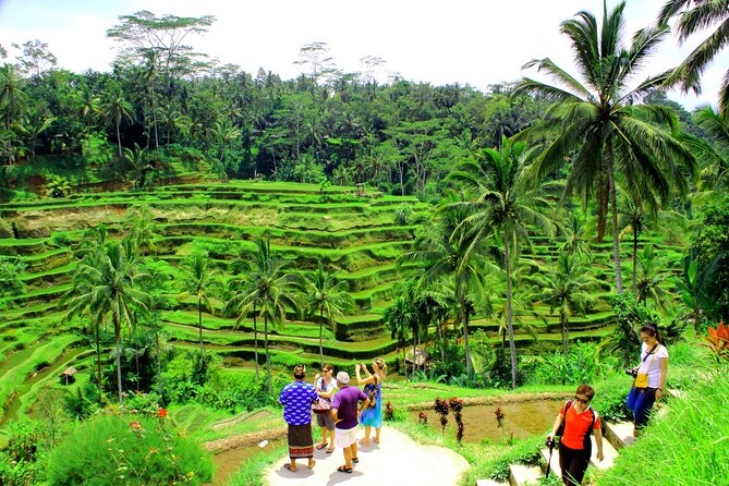 ATV Quad Bike with Kintamani Volcano Tour - All Inclusive - Lunch and the practical all-inclusive value