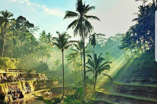 ATV Ride & Ubud Tour - Why this combination works near Ubud