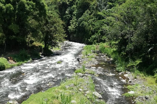 Ayung Rafting Ubud (Include Lunch & Return Transportation) - Rapids, waterfalls, and the effort required