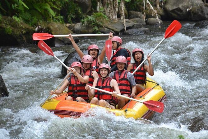 Ayung River Half-Day White Water Rafting Bali in Ubud - Why the Ayung River makes a good Ubud adventure