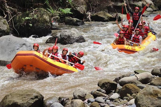 Ayung River Half-Day White Water Rafting Bali in Ubud - The staff can shape the day
