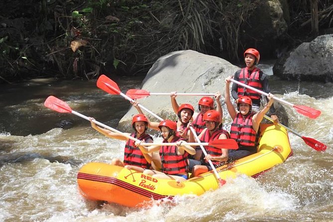 Ayung River Half-Day White Water Rafting Bali in Ubud - Who should book this rafting trip