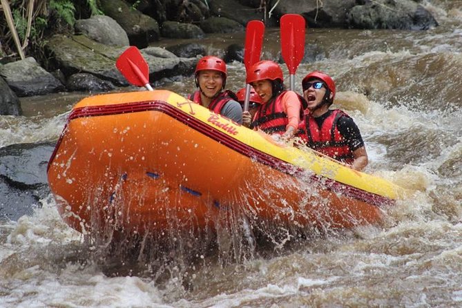 Ayung River Half-Day White Water Rafting Bali in Ubud - Leaving Ubud around 8 a.m.