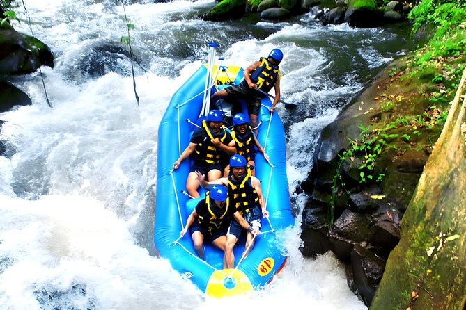 Ayung River Rafting and Ubud Waterfall Tour - Tegalalang Rice Terrace and the Classic Bali View