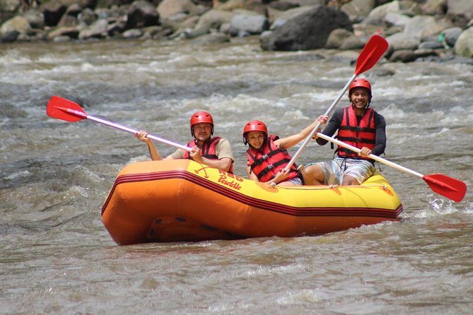 Ayung River - White Water Rafting Bali - Why the Ayung River works for a first rafting trip