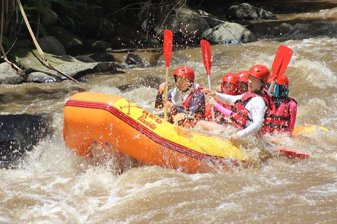 Ayung River - White Water Rafting Bali - What the $30 price really includes