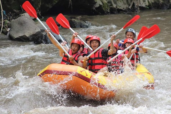 Ayung River - White Water Rafting Bali - Morning or afternoon: which departure suits you?