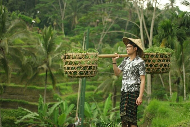 Bali 2 Days Package Nusa Penida and Ubud Tour with All Inclusive - Sacred Monkey Forest mixes temples and macaques