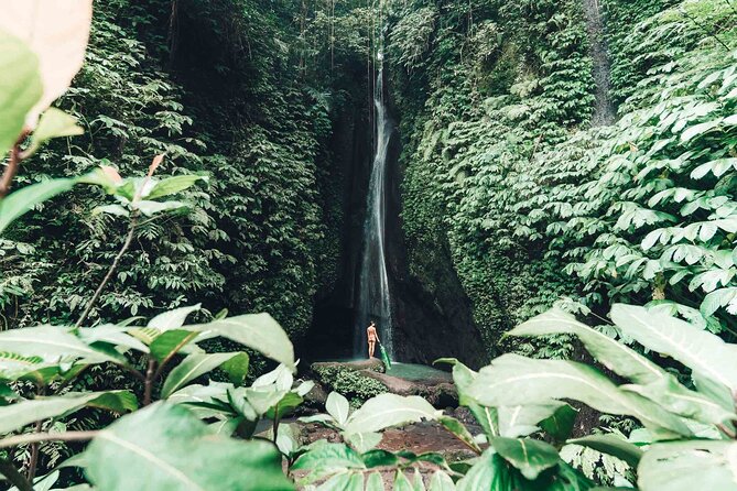 Bali 3 Days Private Tour-Bali Highlight - Who should book this Bali tour?