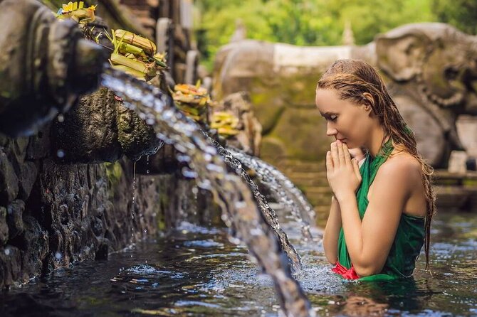 Bali 3 Days Private Tour-Bali Highlight - Day 1: temples, a waterfall, monkeys, and Ubud’s rice terraces