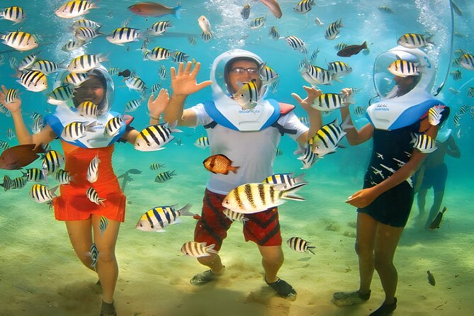 Bali Activity: Bali Sea Walking in Nusa Dua Ocean - Transport from Seminyak, Ubud, and south Bali