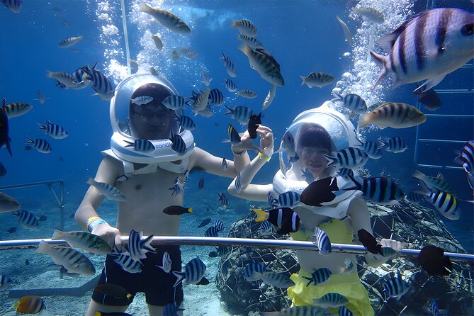 Bali Activity: Bali Sea Walking in Nusa Dua Ocean - The four-hour schedule, from pickup to lunch