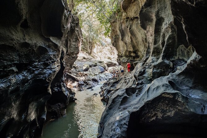 Bali Adventure Tour: Hidden Canyon, Tegenungan Waterfall, Goa Gajah temple - Guides, vehicles, and the rhythm of the day