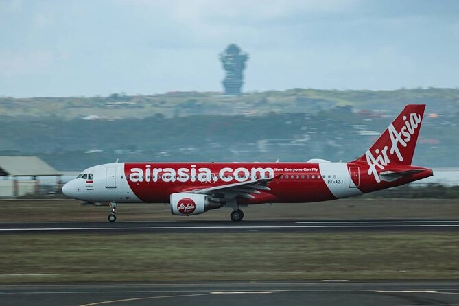 Bali Airport Pick-up to Ubud (Arrival Transfer) - What the private vehicle arrangement means