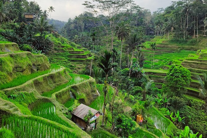 Bali Airport Pickup Transfer to Ubud Area (Private) - The 1.5 to 2 hour road to Ubud