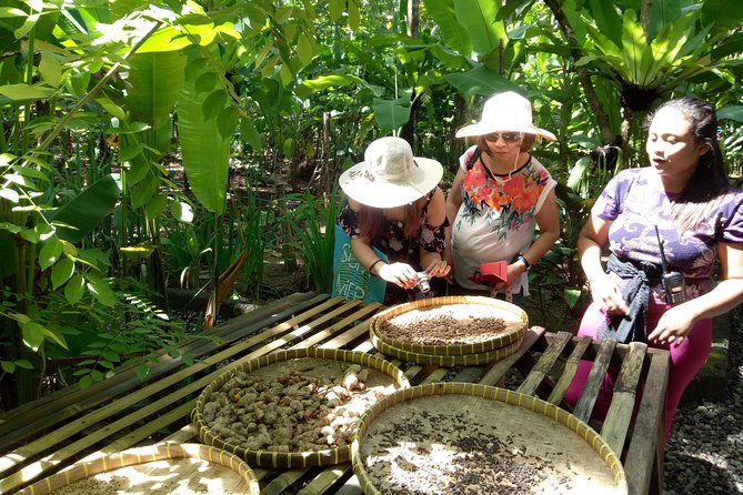 Bali All Inclusive : Tlaga Singha Infinity Pool & Atv Adventure - Optional coffee and tropical produce stop