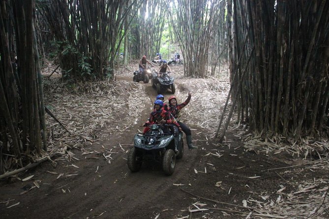 Bali All Inclusive : Tlaga Singha Infinity Pool & Atv Adventure - Is $85.50 a fair price?