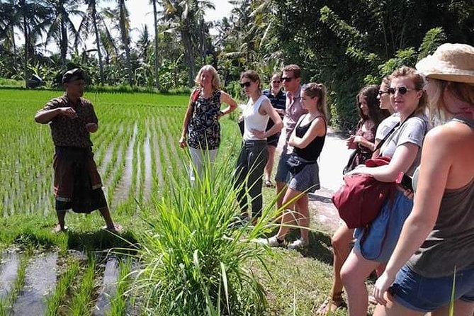 Bali Amazing Cooking Class - Cooking in a Balinese family home