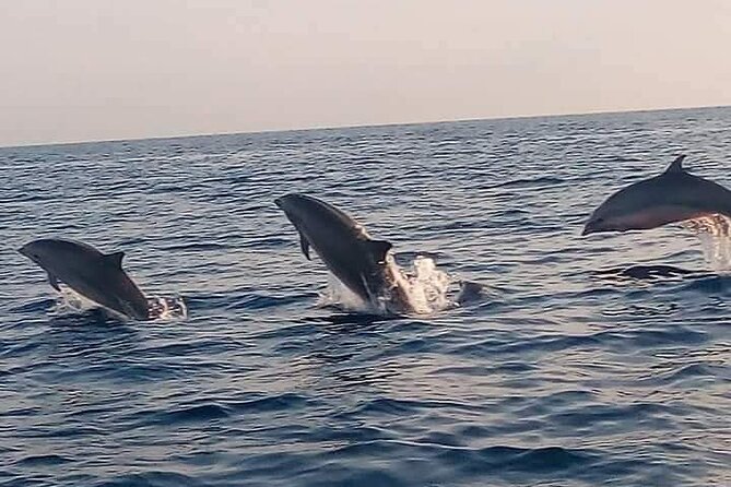 Bali and Lovina with Sunrise Dolphin Tour and Snorkeling - Key points to know before booking