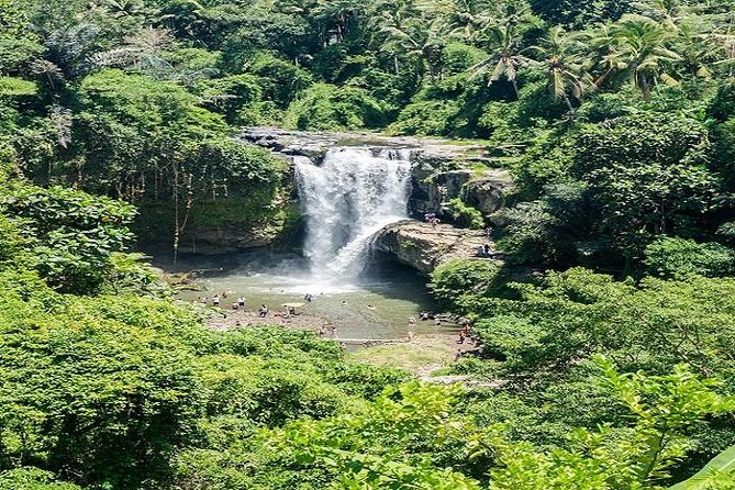 Bali Art Shopping and Culture Tour - Why this private art tour works well in Bali