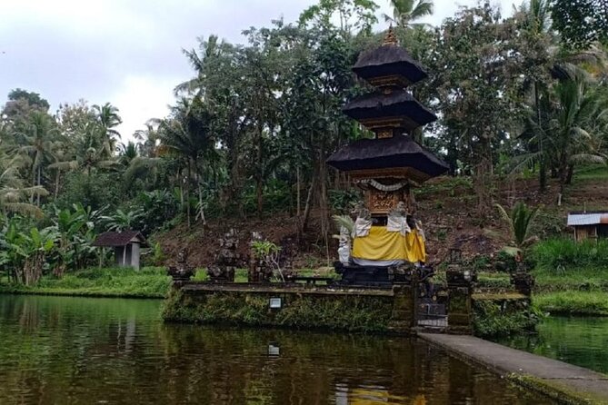 Bali ATV Combined with Mumbul Lake And Sangeh Monkey Forest - Lunch, showers, and the value of the $53 price