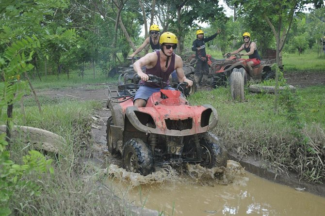 Bali ATV Combined with Mumbul Lake And Sangeh Monkey Forest - Taman Mumbul gives the day room to breathe