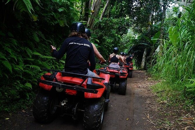 Bali ATV Quad Bike Adventure with Gorilla Cave Pass By Waterfall - What the guide service adds